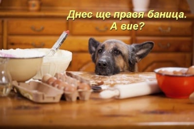 Мастър Шеф - Кучо