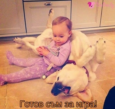 Весели игри