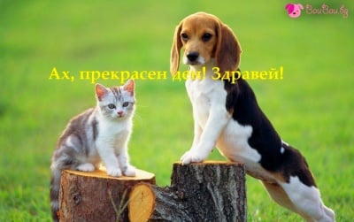 Позитивно утро