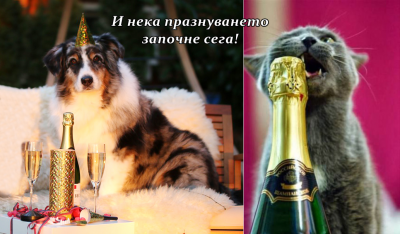 Готови за веселба-а-а-а