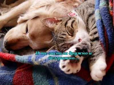 Щастлив завършек на деня