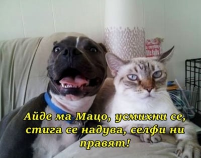 Готови за селфи