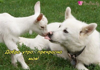 Любов ли бе да го опишеш