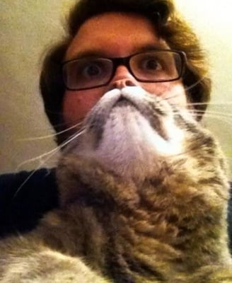 Куче или котка като брада е най-новата мода при снимките с животни