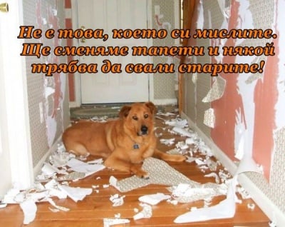 Майстор по сваляне на тапети