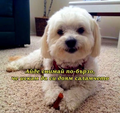 Не спря да ме снимаш цял ден, тц-тц-тц