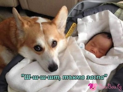 Детегледачка