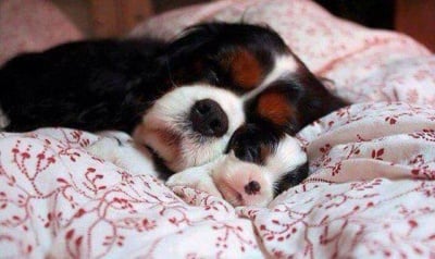 В прегръдките на мама