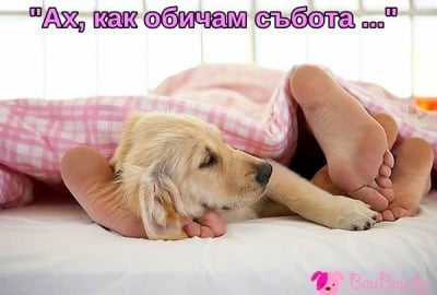 "Ах, как обичам събота"