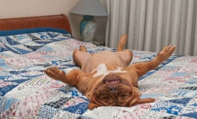 Неделен сутрешен релакс