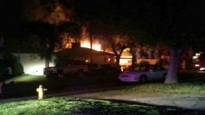 Куче спасява семейство