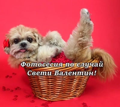 Тя е красива!