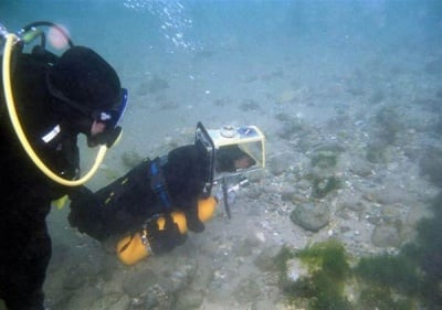 Куче - водолаз