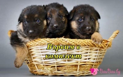 Тройна сладост