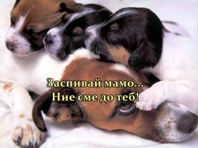 Да заспиш до мама