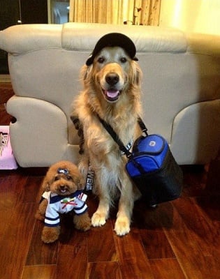 Готови за почивка