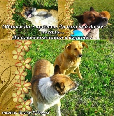 Обичам пролетното време!