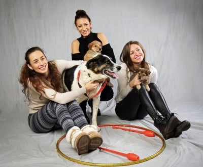 Кампанията на златните момичета "Подари си приятел" предизвика бум в осиновяването на кученца