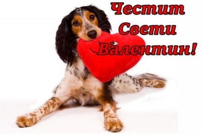 14-ти Февруари