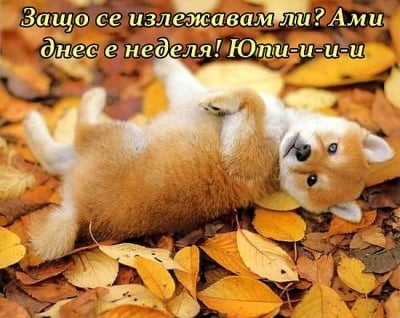 В неделя сутрин ...