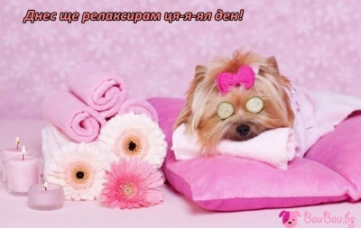 Пълен релакс