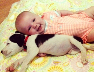 Кученце питбул и бебе са най - сладките приятели, които сте виждали някога