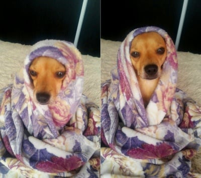 "И как искате да стана в този студ"