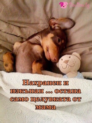 "Чакам си целувката от мама"