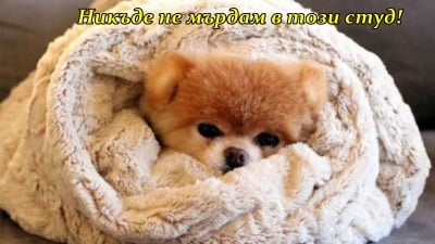 "Студено ми е"