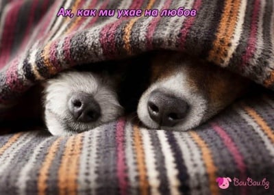 "Винаги двама, винаги ..."