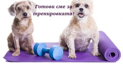 Малки спортисти