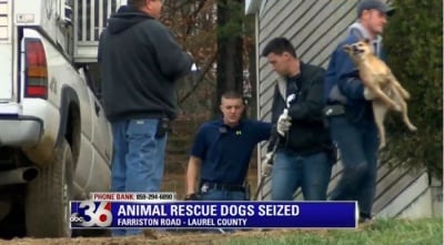 130 кучета бяха изведени от приют за животни - директора е обвинен в жестокост