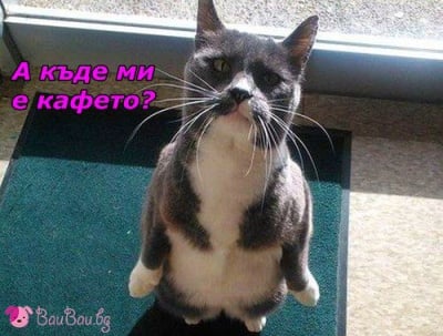 "Буден съм!"