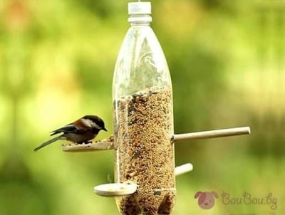 Ето как да направим различни видове хранилки за птици в домашни условия