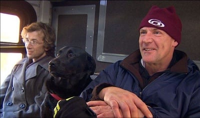 Еклипс - лабрадорът, който сам взема автобус до парка, за да се разходи