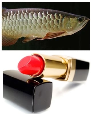 Какво съдържа червилото?