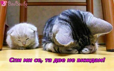 Отдавна стана време за лягане