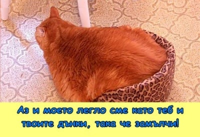 Леко напълнял ...