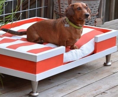 Лесен начин, по който да направим диван за кучето си