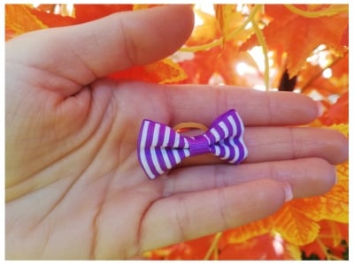 лилава с бяло рае