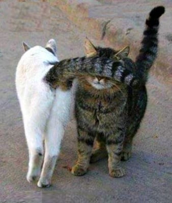 Любовта е сляпа ♥