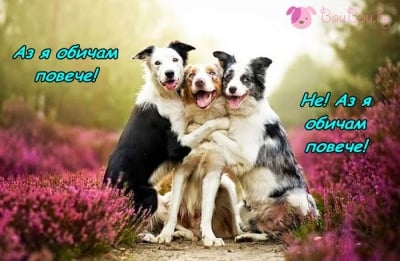 Любовта към мама е най - голяма!