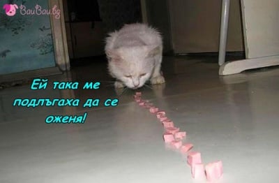 Любовта на мъжа минава през стомаха