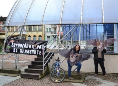 Нощ на прилепите Ловеч