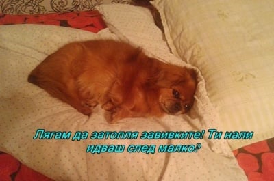 Време е за сън