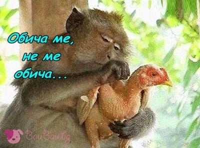 "Мъчи ме един въпрос ..."