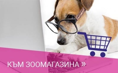Към зоомагазин