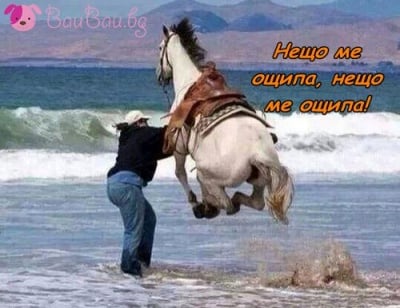 Май някой се страхува от вода ...