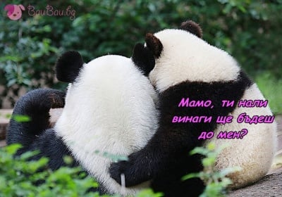 Майчина подкрепа