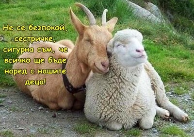 Майчина тревога